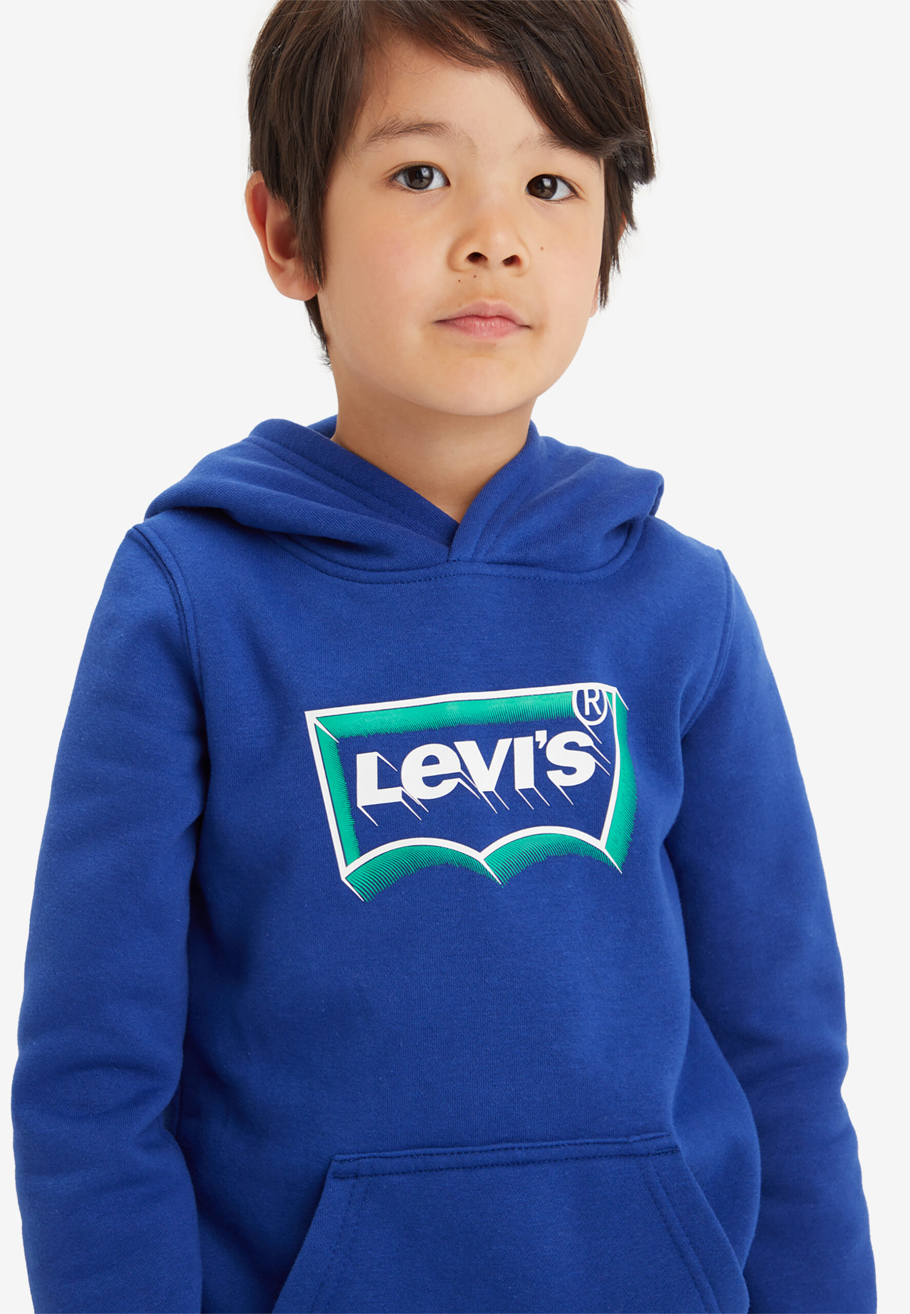 Levis Blue and Green Hoody